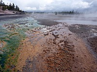 Yellowstone Norris Geyser (106).JPG